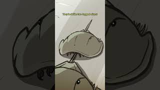 Trispine Horseshoe Crab 🦀🦂 animation original cartoon [upl. by Otrebor]