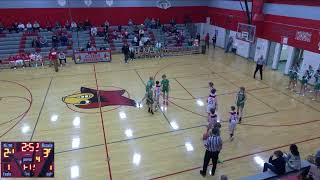 Cjhs boys basketball vs hamilton county foxes Mens Other Basketball [upl. by Akered]