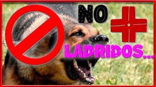 🐶 Callar PERROS que LADRAN  Sonido ULTRASONICO 🚀 para silenciar al PERRO que LADRA  FUNCIONA 🐕 💤 [upl. by Markos]