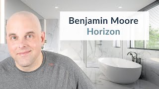 Benjamin Moore Horizon Color Review [upl. by Frieder]