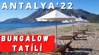 ANTALYA BUNGALOW TATİLİ ÖNERİLERİ  Olympos ve Çıralıda Nerede Kalınır  Olympos Bungalow [upl. by Jurkoic]