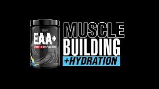 EAA HYDRATION  Refuel Recover Build [upl. by Hube]