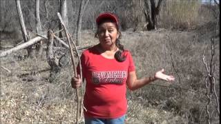 Native Yavapai Speaker Part I [upl. by Jacqui]