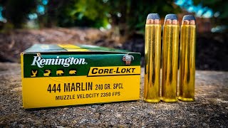 444 Marlin  Remington CoreLokt [upl. by Anelyak]