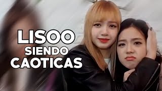 Lisa y Jisoo siendo un dúo caótico Sub español [upl. by Abeu]