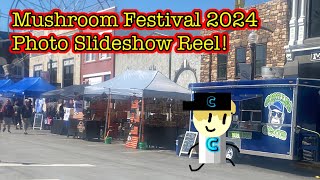 The Mushroom Festival Photo Slideshow Reel 2024 [upl. by Auqkinahs808]