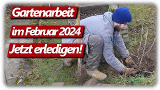 Gartenarbeit Februar  Feigen schneiden Weinreben Gartenplanung Johannisbeeren pflanzen amp düngen [upl. by Aziul]