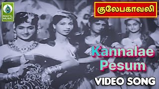 Kannalae Pesum Video Song  Gulebakavali Movie Songs  M G Ramachandran T R Rajakumari [upl. by Narod]