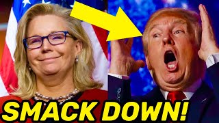 Liz Cheney DESTROYED Donald Trump With THIS Fiery Response [upl. by Nosrettap]