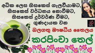 කරපිංචා තෙල් නිවැරදිව හදමු  Homemade Curry Leaves Oil for hair growth curryleaveshairoil hairoil [upl. by Kattie]