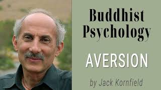 Buddhist Psychology Aversion by Jack Kornfield [upl. by Alda]