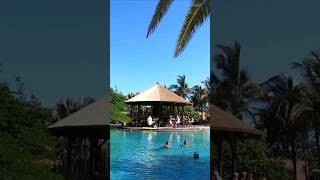 Lopesan Baobab Resort Gran Canaria 🏝 shorts lopesanbaobab resort [upl. by Nrehtak]