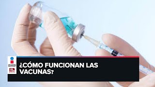 ¿Vacunas o antivacunas I El Opinador [upl. by Attelrak]