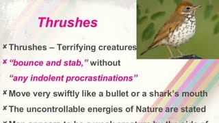 Thrushes by Ted Hughes in Malayalam [upl. by Maisey]