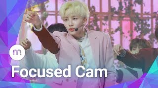 MUBEAT X Show Champion 190130 SEVENTEEN 세븐틴 Home JEONGHAN 정한 Focused CAM [upl. by Nnalyrehs637]