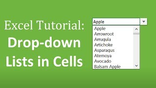 How to Create Drop Down Lists in Cells  The Complete Excel Guide [upl. by Heriberto]