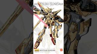 焔の扉  南里侑香 凪原涼菜 cover 丨動戦士ガンダムSEED丨Akatsuki Gundam  Oowashi  Shiranui 曉高達 大鷲不知火丨1100 [upl. by Nethsa315]