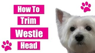 How To Trim Dogs Head  Westie Pet Grooming Tips [upl. by Petes509]