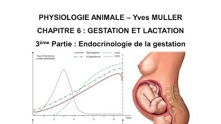 Chapitre 63 Hormones et gestation [upl. by Safire]