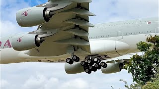 PLANESPOTTING FROM LONDON HEATHROW AIRPORT  RW27L Landings  Myrtle Avenue  1st July 2023  4K [upl. by Maxie]