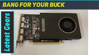 reviewHP NVIDIA Quadro P2000 5GB Graphics Unleashing HighPerformance Visuals [upl. by Pearle798]