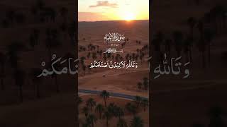 Surah Anbiya verse 57 Quran recitations dailyverse [upl. by Sheffy]