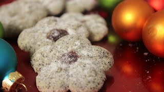 Mohnkringel  Mohnplätzchen  Leckere Weihnachtsplätzchen mit der Gebäckspritze  Sallys Welt [upl. by Fabiolas]