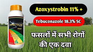 Azoxystrobin 11  Tebuconazole 183 SC  Fungicide  Azoxystrobin  Tebuconazole Fungicide [upl. by Schecter983]