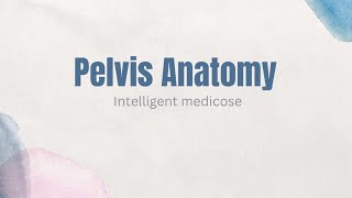 Lecture 2  Pelvic Inlet  Pelvis Outlet  Walls Of Pelvis  PELVIS ANATOMY [upl. by Adriene]