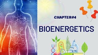 Bioenergetics class 11 biology Bioenergetics biochemistry Bioenergetics [upl. by Marc]