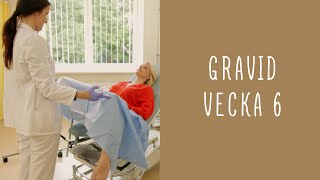 Gravid vecka 6 [upl. by Odnalo]