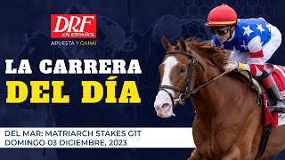 La Carrera del Día  Del Mar  Diciembre 03 [upl. by Nile]