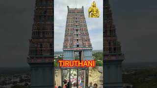 Tiruthani murugan tharisanam  god music tamilsong trandingshorts [upl. by Bruell]