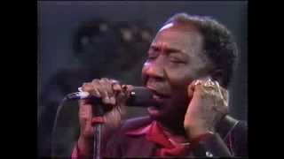 Muddy Waters  The Living Legends of Blues [upl. by Enoved]