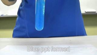 Copper II ion test [upl. by Ahtelat]