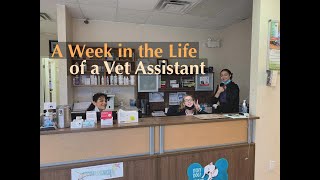 A Week in Life as a Veterinarian Assistant PreVet Work Experience Before Getting into Vet School [upl. by Carilyn]