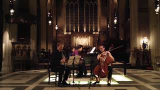 Farrenc Trio for clarinet cello and piano op44 [upl. by Agbogla520]