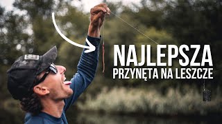 Najlepsza przynęta na leszcze [upl. by Husein]