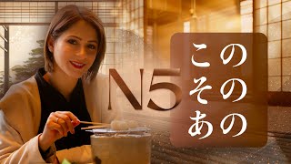 JLPT N5  Kono • Sono • Ano この • その • あの [upl. by Aniretak]