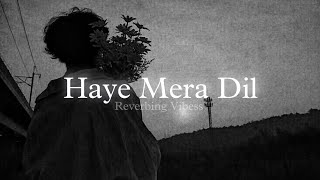 Haye Mera Dil Slowed  Reverb  Alfaaz Honey Singh [upl. by Eedyak]