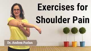 027 Fifteen Exercises for Shoulder Pain Impingement Bursitis Rotator Cuff Disease [upl. by Koal]