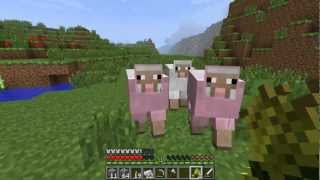 Rare Minecraft Find Two Pink Sheep [upl. by Ornas]