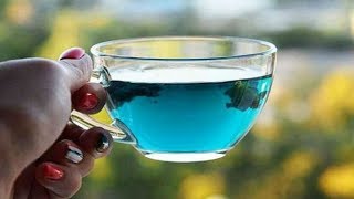 नीली चाय पीने के हैरान कर देने वाले फायदे  Amazing Health Benefits of Blue Tea [upl. by Nnaoj918]