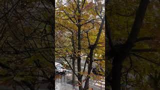 ❤️❤️❤️rainy day in Autumn Paris paris rainyday rain autumn automne france trending trend [upl. by Erdrich]