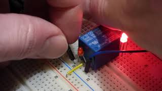 Electronics single pole double throw switch demonstration circuit using SRD 05VDC SL C relay [upl. by Johppa]