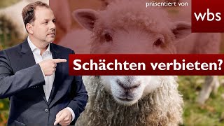 Tiere ohne Betäubung schlachten Schächten erlaubt Tierschutz vs Religionsfreiheit  RA Solmecke [upl. by Angelico]