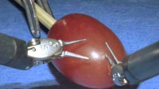 da Vinci Surgical System Surgery on a grape [upl. by Irok117]