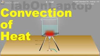 NCERT Class 7th  Activity 48  Heat  Convection of Heat  labOnLaptop  Virtual Lab [upl. by Edge]