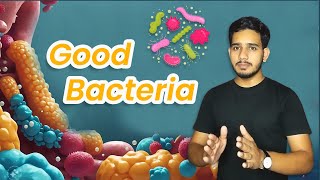 Not All Bacteria Are the Enemy Transform Your Health with Their Help [upl. by Reifel525]