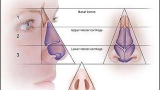 ◇triangular nose tip subliminal [upl. by Joye]